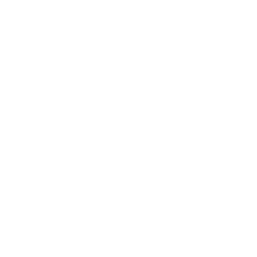 Icon of a hand holding a globe